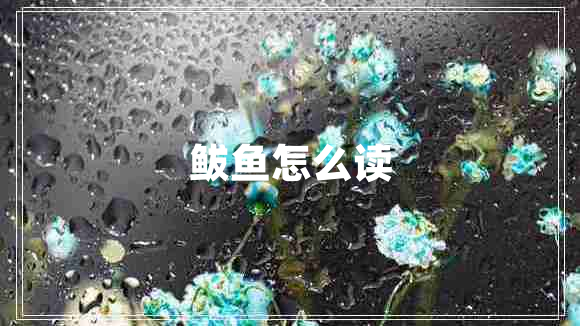 鲅魚(yú)怎么讀