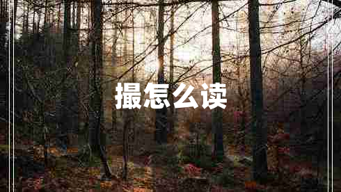 撮怎么讀
