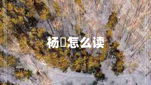 楊玏怎么讀