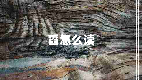 舀怎么讀