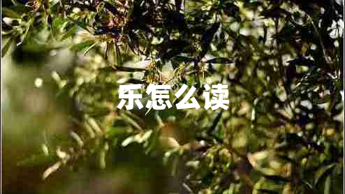 樂(lè )怎么讀
