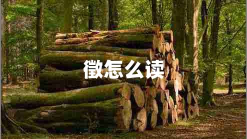 徵怎么讀