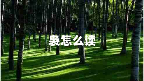 裊怎么讀