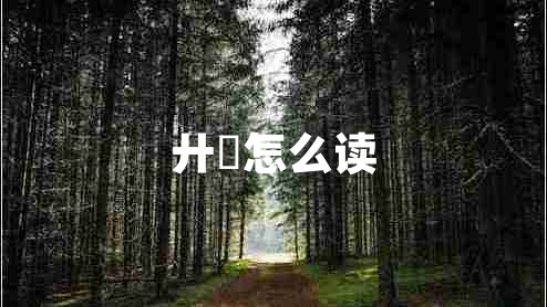 廾匸怎么讀