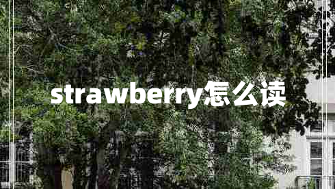 strawberry怎么讀