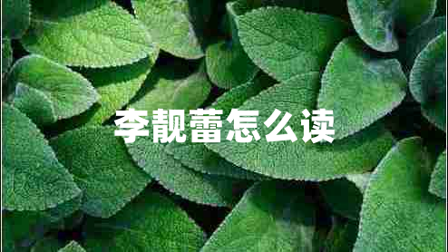 李靚蕾怎么讀