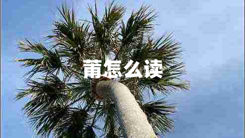 莆怎么讀