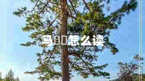 馬騳骉怎么讀