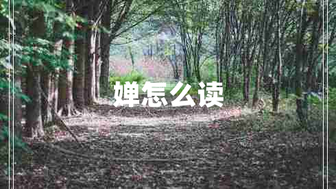 嬋怎么讀