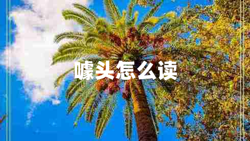 噱頭怎么讀