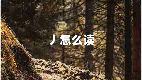 丿怎么讀