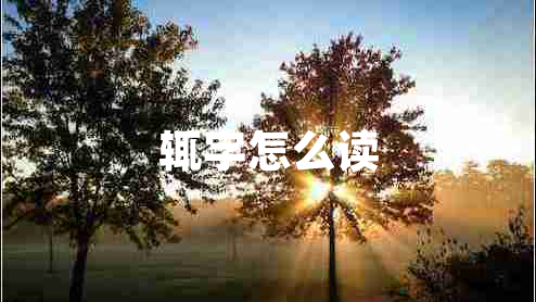 輒字怎么讀