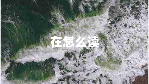 在怎么讀