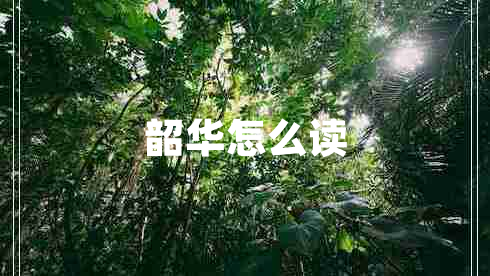 韶華怎么讀