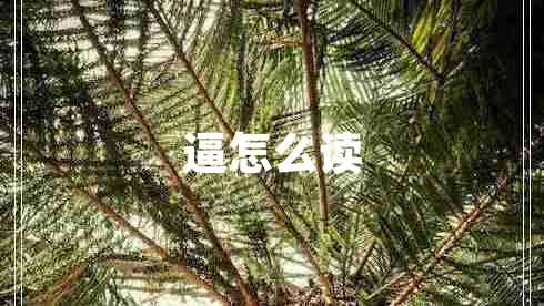 逼怎么讀