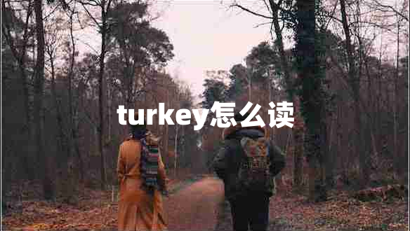turkey怎么讀