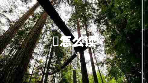 媺怎么讀