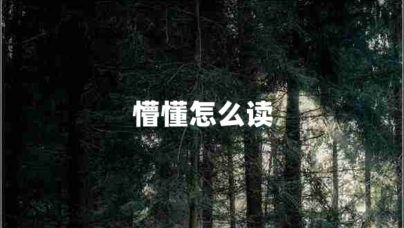 懵懂怎么讀