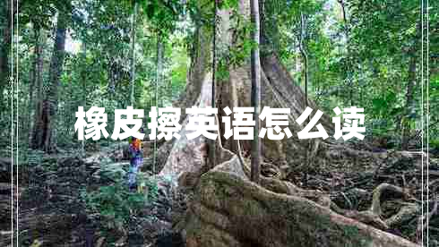 橡皮擦英語(yǔ)怎么讀