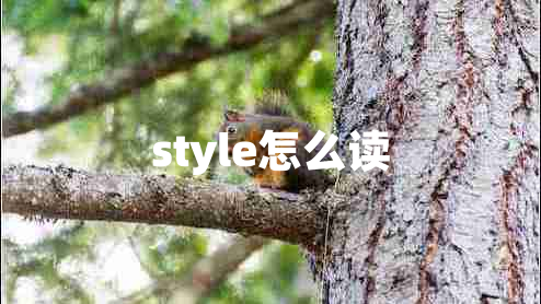 style怎么讀