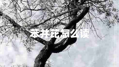 苯并芘怎么讀