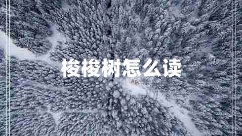 梭梭樹(shù)怎么讀