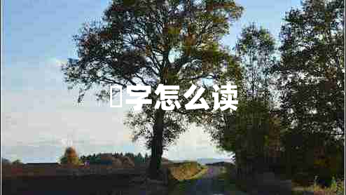 瞾字怎么讀