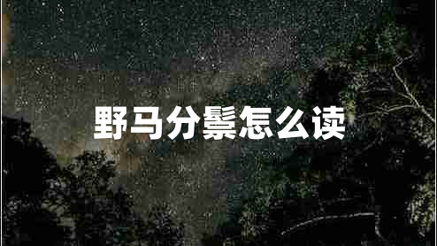 野馬分鬃怎么讀