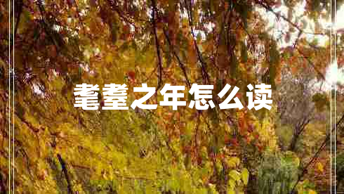 耄耋之年怎么讀