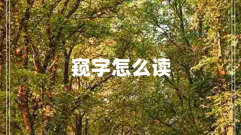 窺字怎么讀