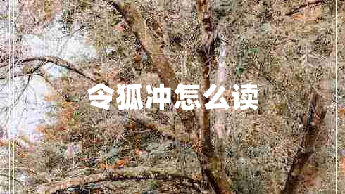 令狐沖怎么讀