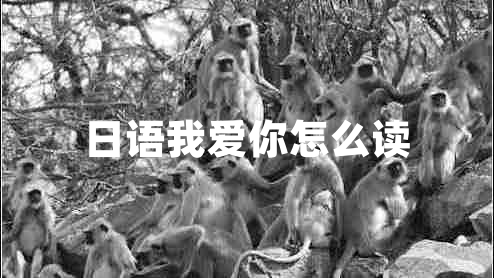 日語(yǔ)我愛(ài)你怎么讀