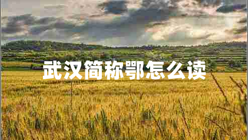 武漢簡(jiǎn)稱(chēng)鄂怎么讀