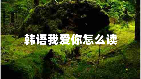 韓語(yǔ)我愛(ài)你怎么讀