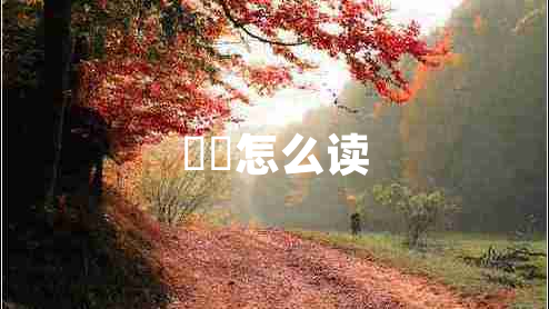 峇峇怎么讀