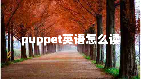 puppet英語(yǔ)怎么讀