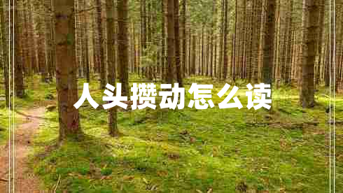 人頭攢動(dòng)怎么讀