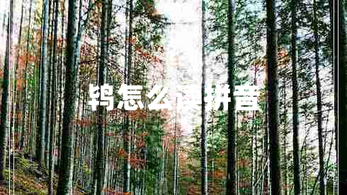 鴇怎么讀拼音