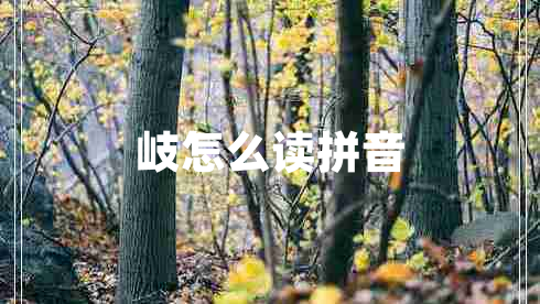 岐怎么讀拼音