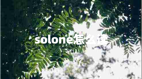solone怎么讀