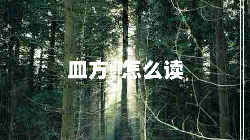 皿方罍怎么讀