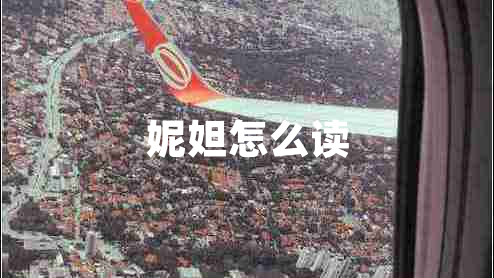 妮妲怎么讀