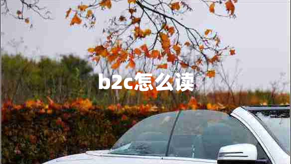 b2c怎么讀