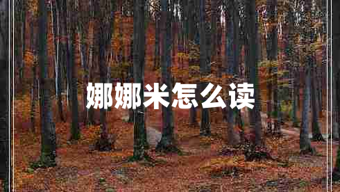 娜娜米怎么讀