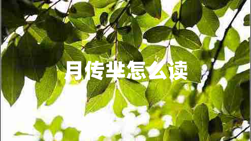 月傳羋怎么讀