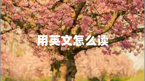用英文怎么讀