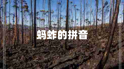 螞蚱的拼音