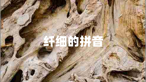 纖細的拼音
