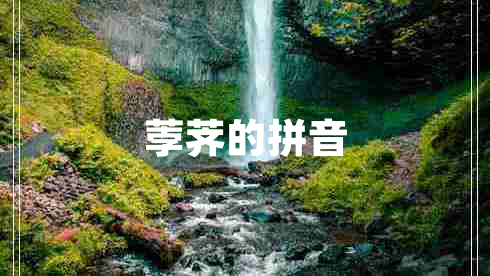 荸薺的拼音