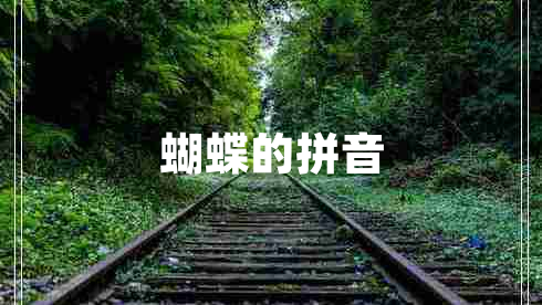 蝴蝶的拼音